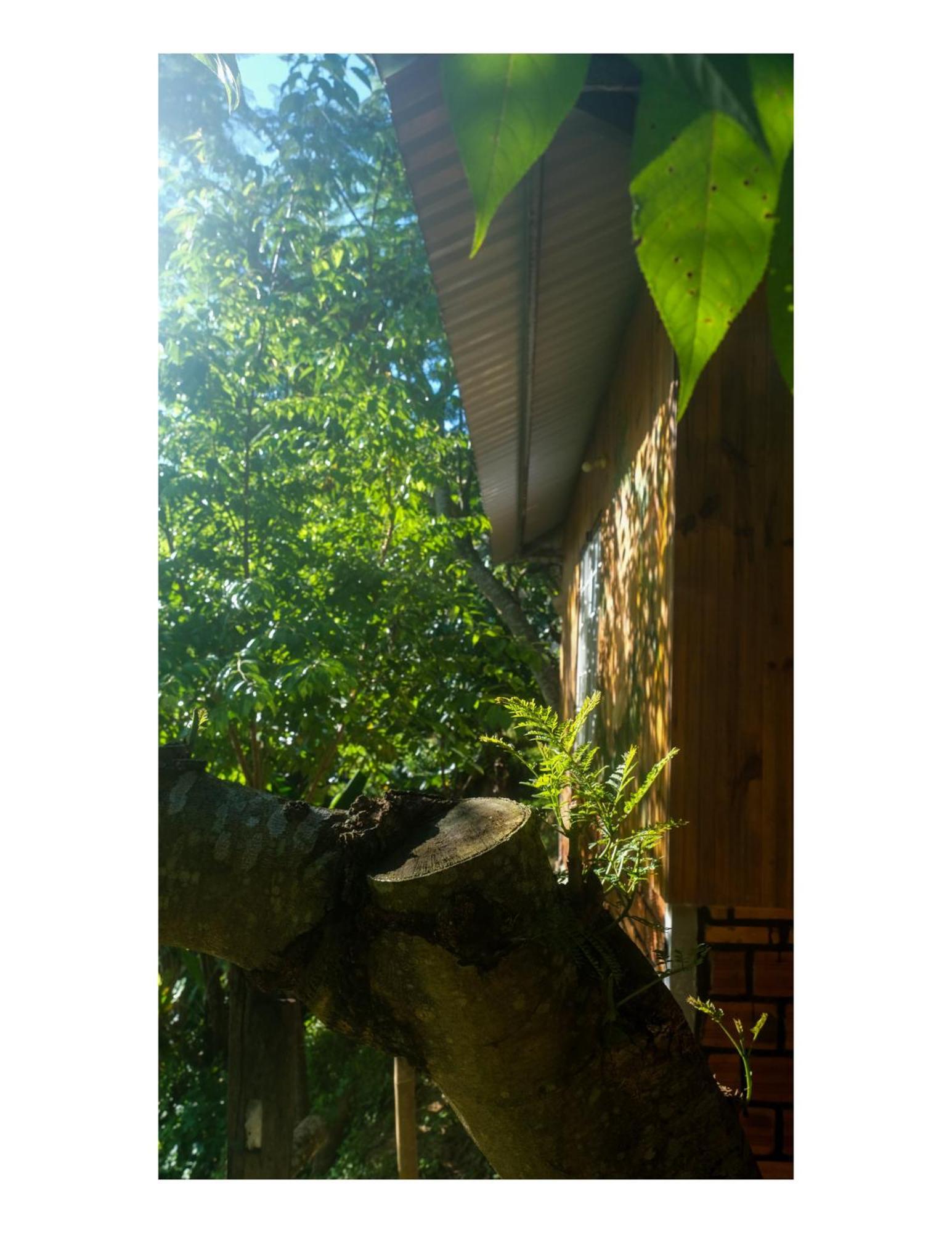 Nha Ben Ho - Da Lat Homestay Dış mekan fotoğraf