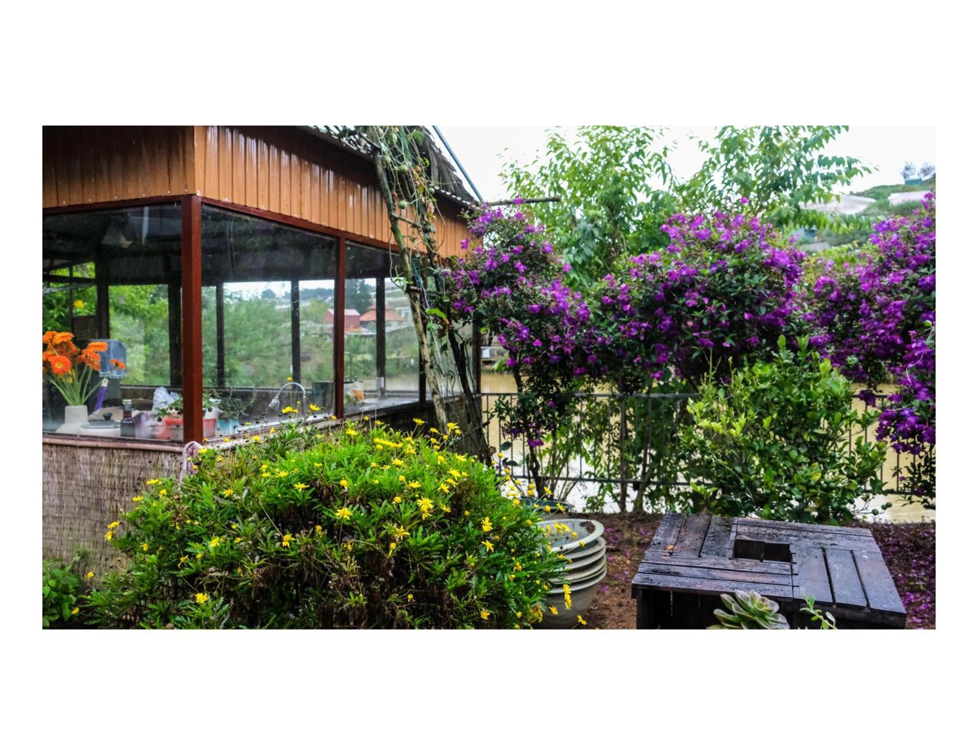 Nha Ben Ho - Da Lat Homestay Dış mekan fotoğraf