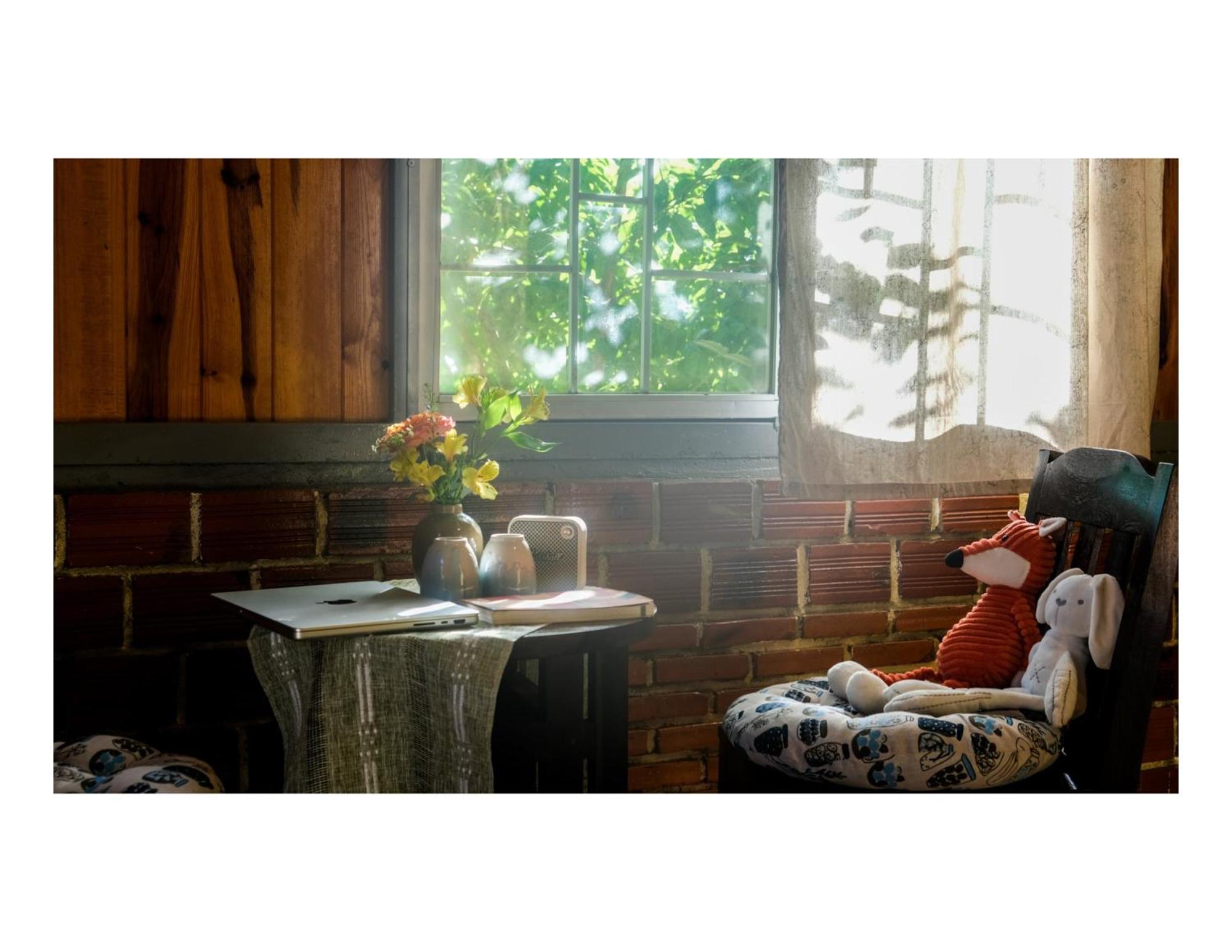 Nha Ben Ho - Da Lat Homestay Dış mekan fotoğraf