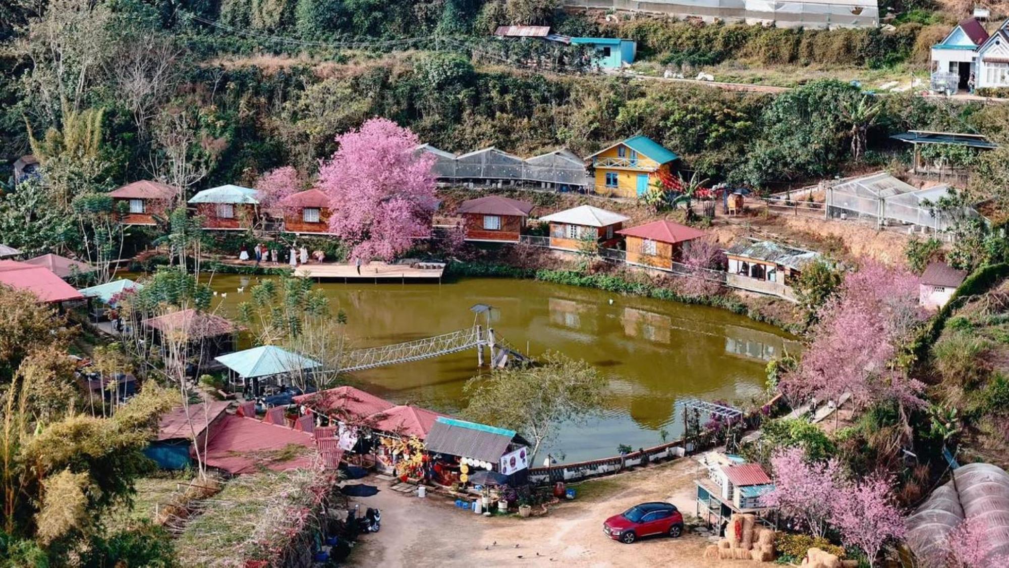 Nha Ben Ho - Da Lat Homestay Dış mekan fotoğraf