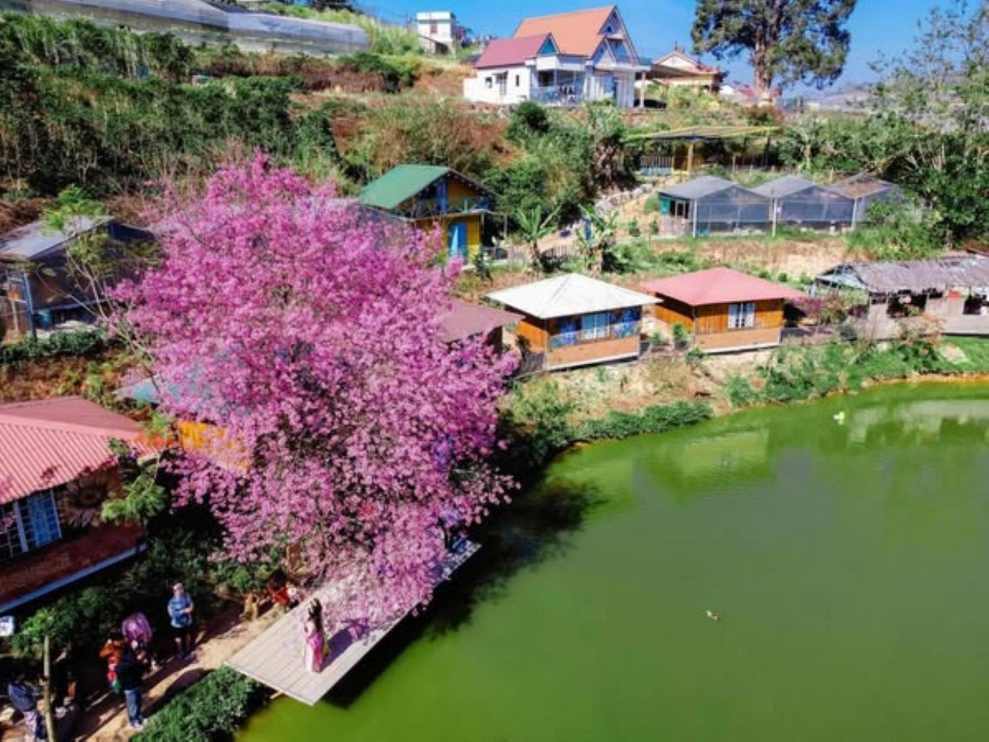Nha Ben Ho - Da Lat Homestay Dış mekan fotoğraf