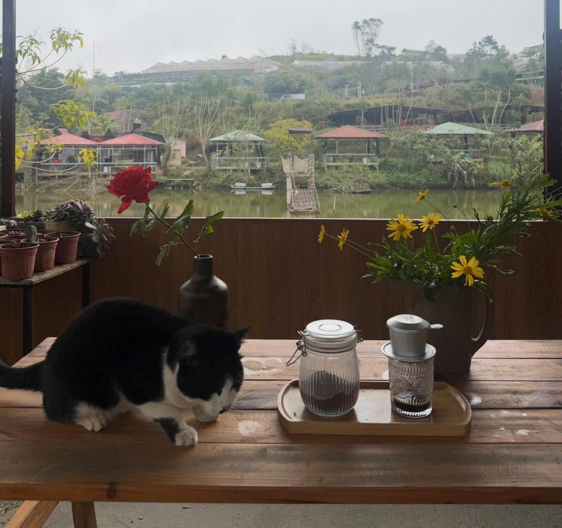 Nha Ben Ho - Da Lat Homestay Dış mekan fotoğraf