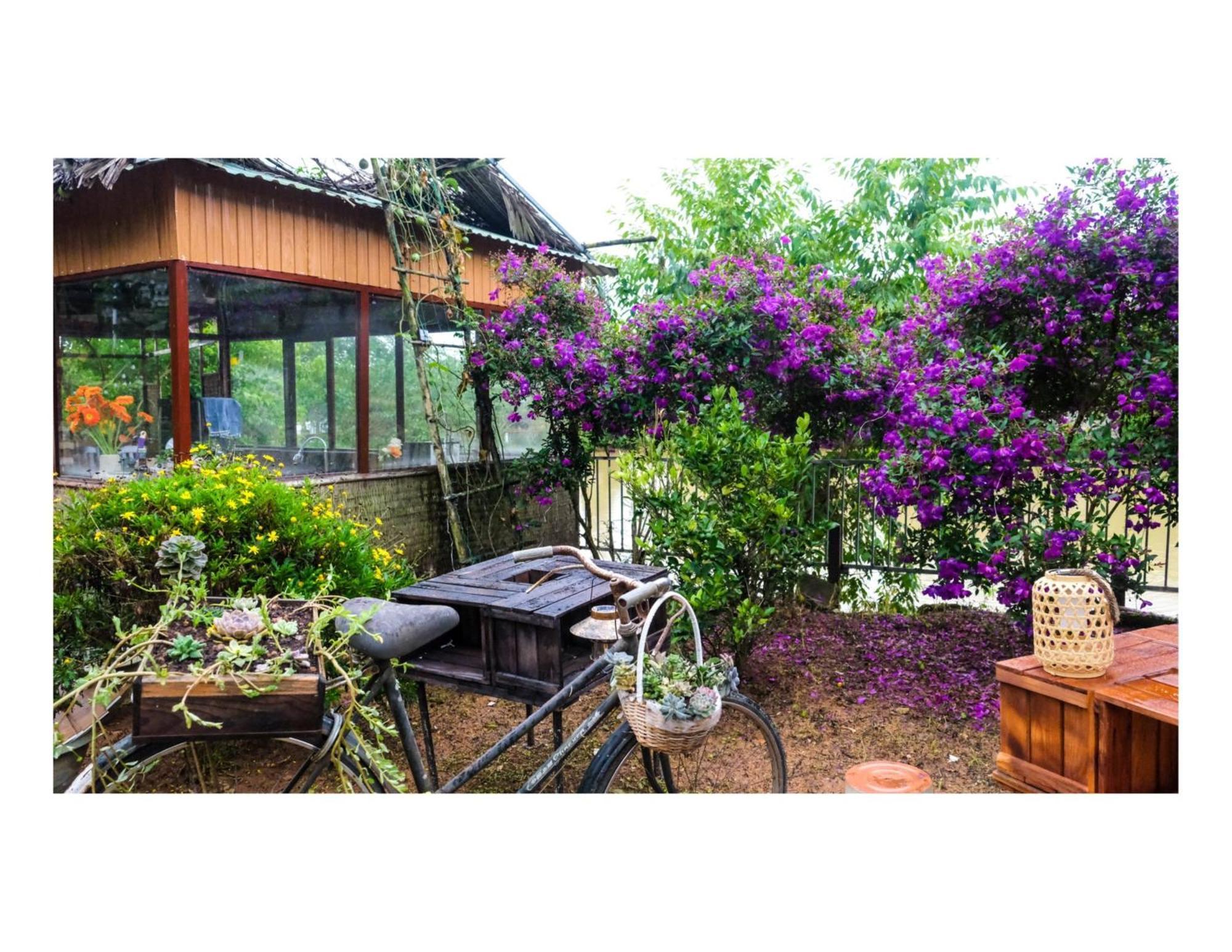 Nha Ben Ho - Da Lat Homestay Dış mekan fotoğraf